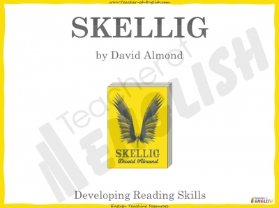 Skellig - Year 6 Teaching Resources